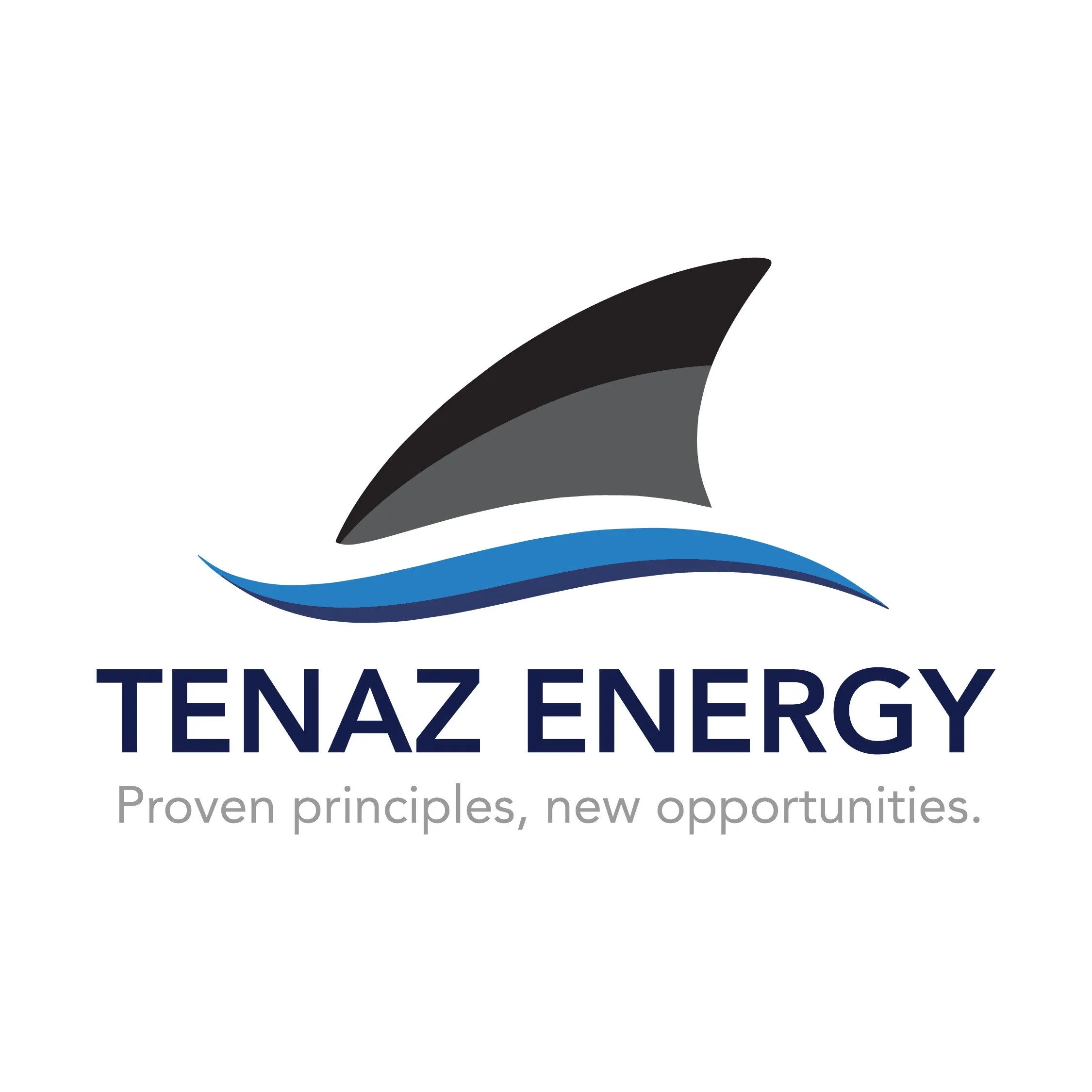 Logo van Tenaz Energy Netherlands