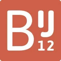Logo van BIJ12